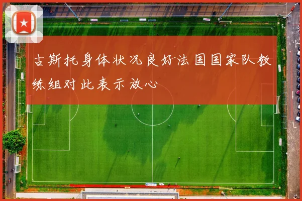 古斯托身体状况良好法国国家队教练组对此表示放心
