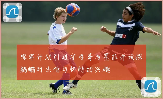 绿军计划引进字母哥与墨菲并试探鹈鹕对杰伦与怀特的兴趣